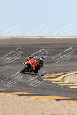 media/Mar-09-2024-SoCal Trackdays (Sat) [[bef1deb9bf]]/1-Bowl Exit (940am)/